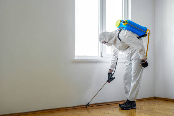 Real Estate Pest Inspections in Ramtown, NJ